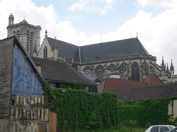  mur de lierre et cathédrale